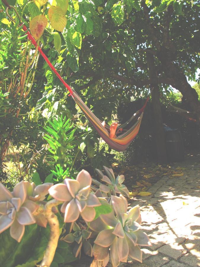 Casa Das Lapas Soajo Dış mekan fotoğraf